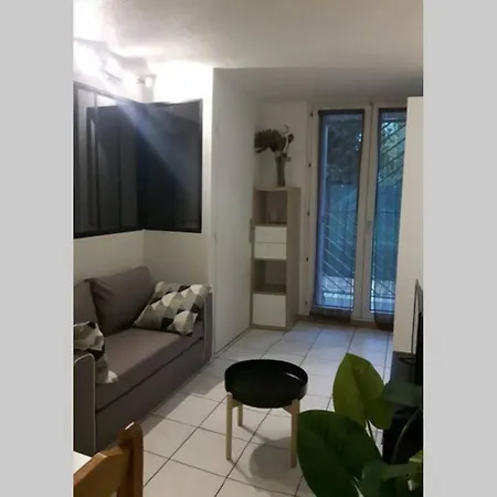 Appartement - Le Jardin Des Argoulets Toulouse